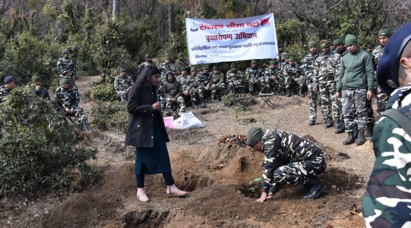 एसएसबी के जंगल युद्ध कला पद्धति स्कूल में मियावाकी तकनीक के अनुसार वृक्षारोपण का अभ्यास कराया गया