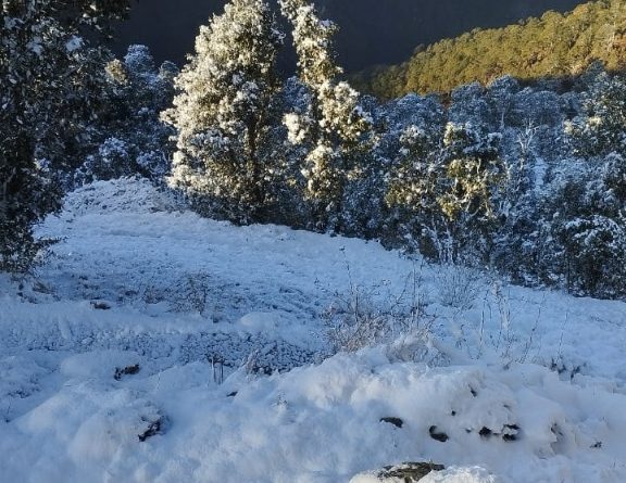 पहाड़ियों पर जमकर हुयी बर्फबारी- पिंडर घाटी ठंड से फिर  ठिठुरी