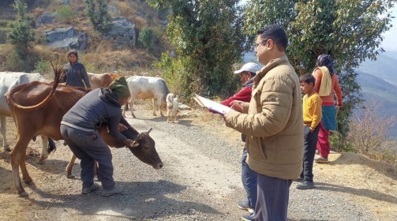 पशु प्रदर्शनी में हेमा की गाय, दमयंती की भैंस और हरेंद्र की बैलों की जोड़ी ने जीता ईनाम