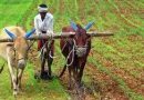 भारत में  किसानों की औसत आमदनी 10,218