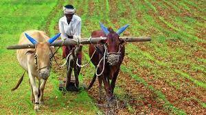भारत में  किसानों की औसत आमदनी 10,218