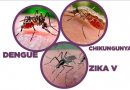 डेंगू और चिकनगुनिया को लेकर स्वास्थ्य विभाग का अर्लट जारी