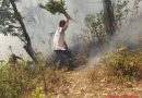 पोखरी ब्लॉक में विशाल के जंगल में भड़की आग, वन कर्मी जुटे  अग्नि शमन  में