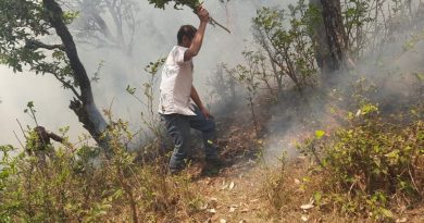 पोखरी ब्लॉक में विशाल के जंगल में भड़की आग, वन कर्मी जुटे  अग्नि शमन  में