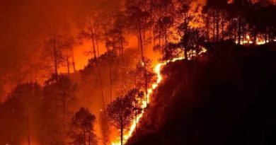 आरक्षित वनों में आग लगाने वाले सात लोगों को वन विभाग की टीम ने रंगेहाथों आग  धर दबोचा