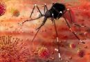 उत्तराखंड में डेंगू एवं चिकनगुनिया की रोकथाम को चलेगा महाअभियान, स्वास्थ्य सचिव डॉ आर राजेश कुमार ने जारी किए कड़े निर्देश