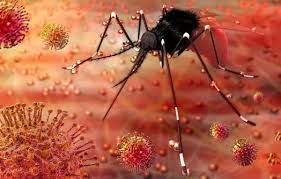 उत्तराखंड में डेंगू एवं चिकनगुनिया की रोकथाम को चलेगा महाअभियान, स्वास्थ्य सचिव डॉ आर राजेश कुमार ने जारी किए कड़े निर्देश