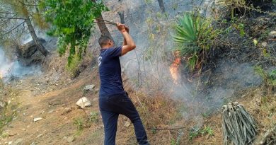 जंगलों की आग बुझाने के लिए सभी विभागों को मिलजुल कर कारगर कदम उठाने के निर्देश