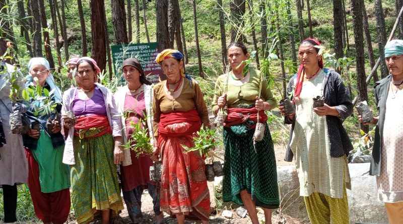 हरेला पर्व के लिए उत्तरकाशी में चल रही हैं  व्यापक तैयारियां