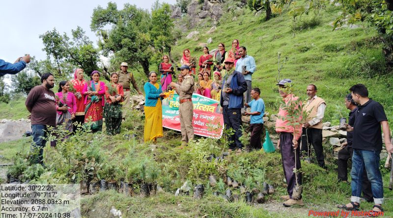 केदारनाथ वन्य जीव प्रभाग नागनाथ रेंज के कार्मिकों ने किया वृक्षारोपण