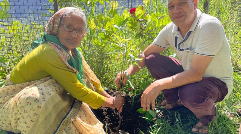 जीवन निर्माण सोसाइटी ने मनाया “मां”के साथ लोक पर्व हरेला