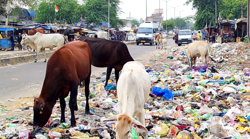 ठोस कचरा प्रबंधन: निपटान से आगे एक दृष्टिकोण