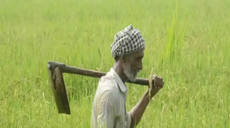 जुलाई 2026 से होगा ऋण-निवेश और कृषि परिवारों का बड़ा सर्वेक्षण