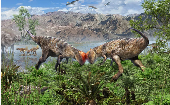 ‘Shockingly Beautiful’ Fossil Reveals Oldest Dome-Headed Dinosaur