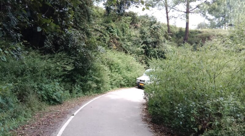 पोखरी-हापला-गोपेश्वर मार्ग पर झाड़ियों से परेशानी, पीडब्ल्यूडी को ज्ञापन