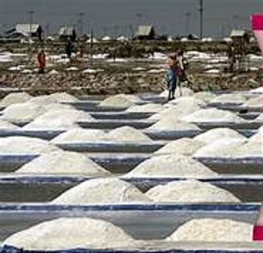 उत्तराखंड में रेत युक्त नमक की शिकायत जांच में गलत पाई गई