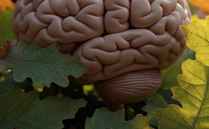 अल्जाइमर रोग के संभावित इलाज का रास्ता प्राकृतिक पॉलिफेनॉल में पाया गया