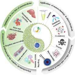 आयुष मंत्रालय की क्रांतिकारी पहल: ‘द्रव्य’ पोर्टल से आयुर्वेदिक औषधियों का डिजिटल खजाना खुला!