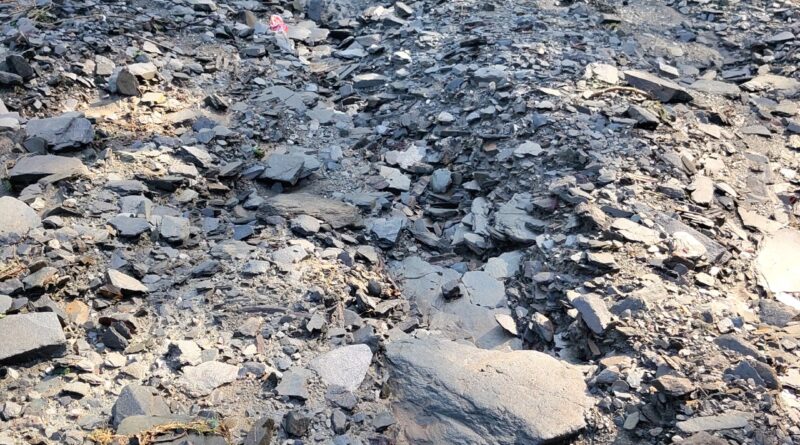 जानलेवा बना जौरासी–किमोठा–तोणजी मोटर मार्ग, ग्रामीणों ने जिलाधिकारी से लगाई गुहार