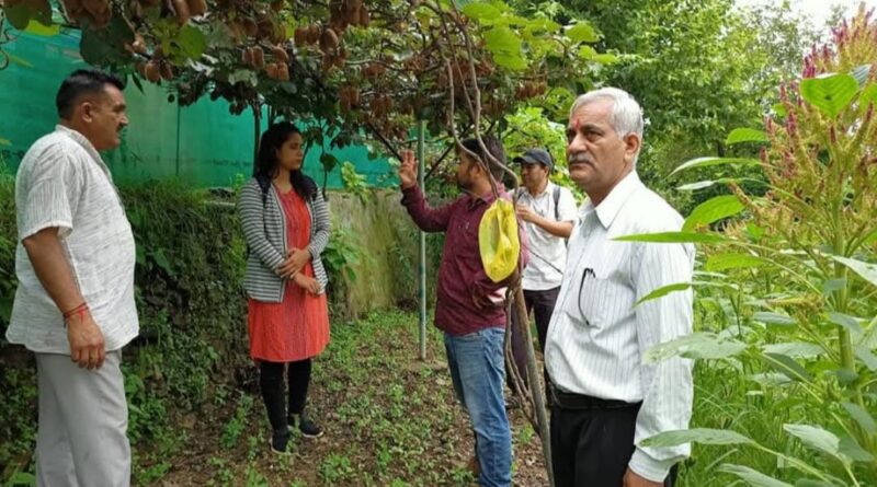 राइफलमैन मान सिंह चौहान बने ‘कीवी मैन’, कीवी उत्पादन से पा रहे स्वरोजगार