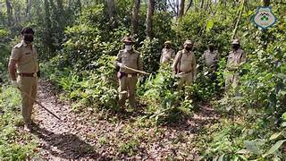 उत्तराखण्ड के दुर्गम क्षेत्रों में तैनात वन कर्मियों को मिलेगा आवासीय भत्ता