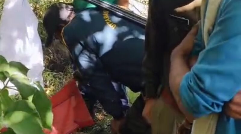 गुलदार ने रुद्रप्रयाग के पाली के ग्रामीण की जान ली; क्षेत्र में मची दहशत