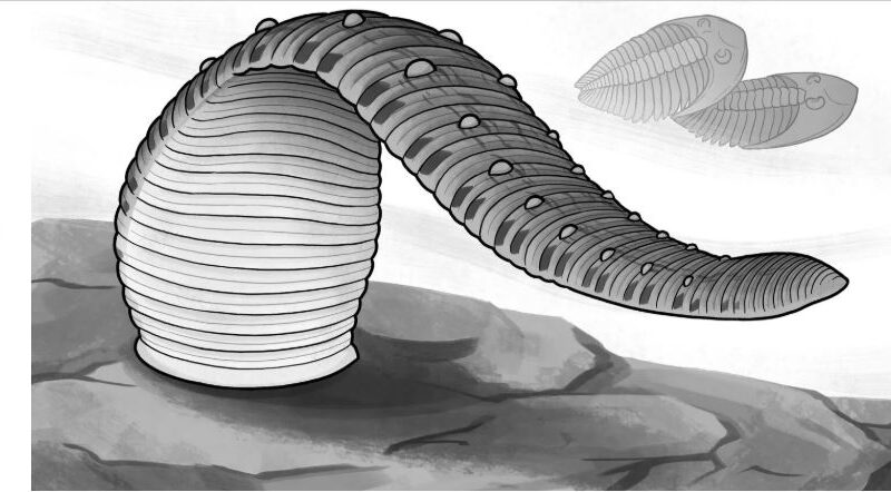 यह जोंक केवल खून की भूखी नहीं थी…