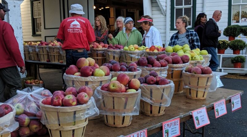 नाबार्ड देहरादून दो दिवसीय ‘सेब महोत्सव 2.0’ का कर रहा आयोजन