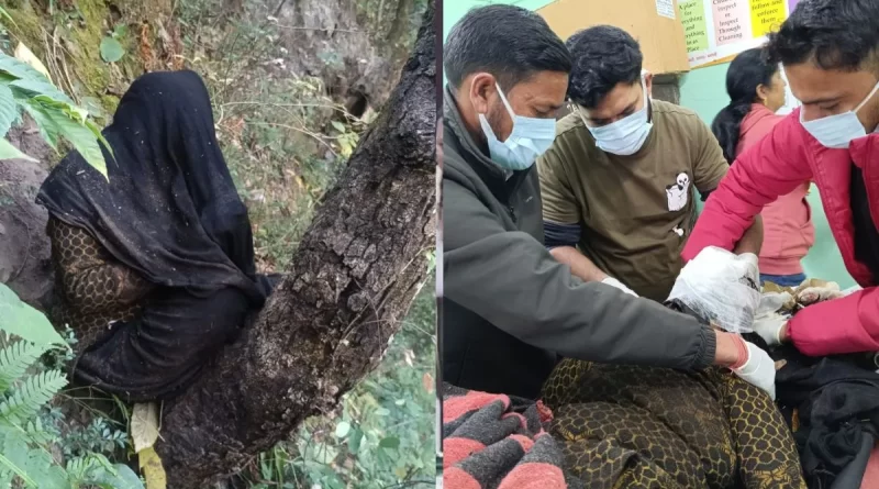 भालू व गुलदार के बढ़ते हमलों पर सरकार सख्त वनमंत्री सुबोध उनियाल ने विभाग को दिए कड़े निर्देश