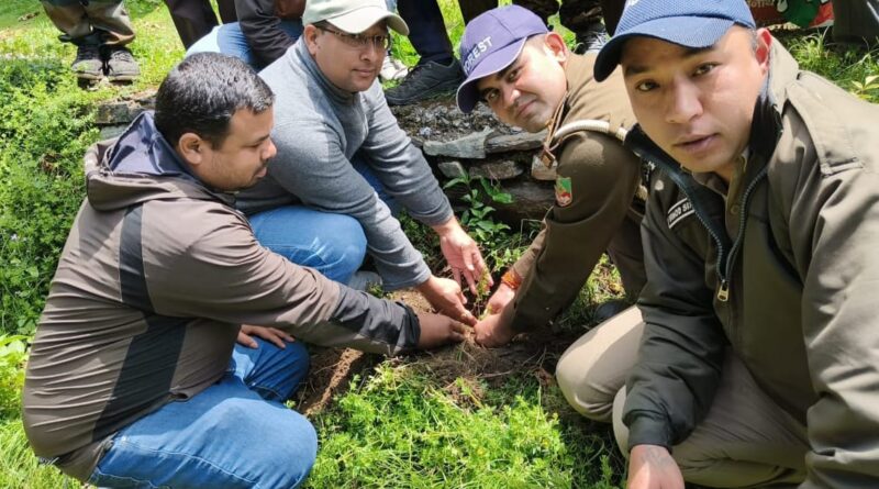 ग्रामीण बैंक के स्थापना दिवस पर मुन्दोली में वृक्षारोपण कार्यक्रम आयोजित