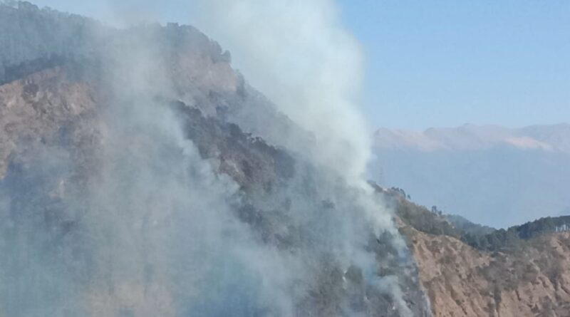 नागनाथ रेंज के रैंसू क्षेत्र के चीड़ के जंगल में लगी भीषण आग, वन विभाग ने संभाला मोर्चा