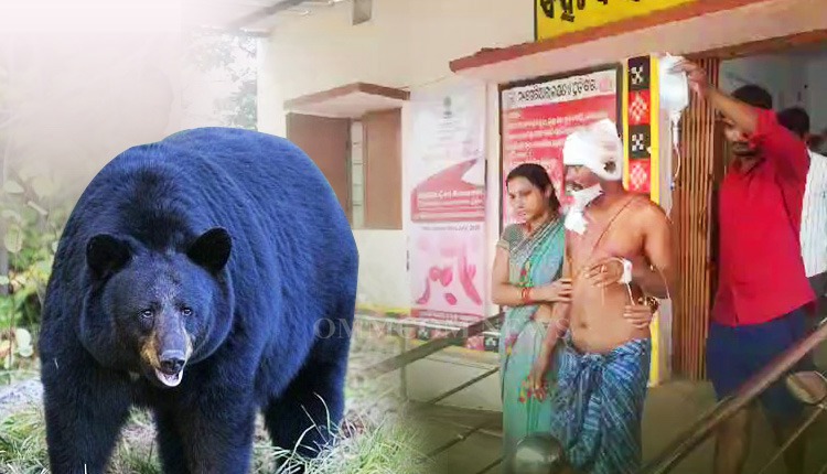 वन्यजीवों के हमलों में घायल व्यक्तियों के उपचार का पूरा खर्च उत्तराखंड सरकार वहन करेगी