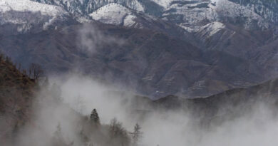 उत्तराखंड में शीत लहर का कहर: छह जिलों में ऑरेंज अलर्ट, घना कोहरा और बर्फबारी की चेतावनी