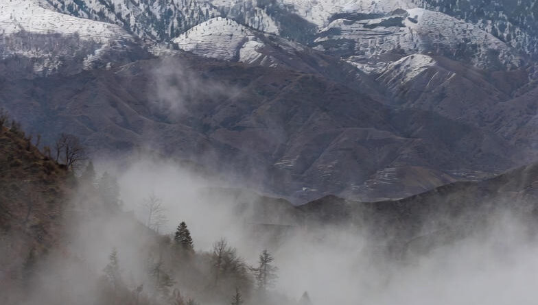 उत्तराखंड में शीत लहर का कहर: छह जिलों में ऑरेंज अलर्ट, घना कोहरा और बर्फबारी की चेतावनी