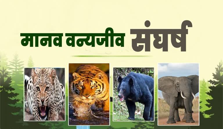 उत्तराखंड में मानव वन्यजीव संघर्ष : वन्यजीवों को वनों में ही रोकने के उपायों पर जोर