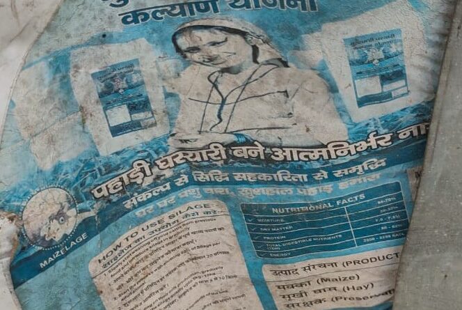 घस्यारी योजना फेल: जंगली जानवरों के डर से जंगल नहीं जा रहीं महिलाएं, पहाड़ में पशुओं के चारे का गंभीर संकट