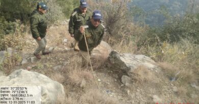 पोखरी ब्लॉक के भालू प्रभावित क्षेत्रों में वन कर्मियों की दिन-रात गश्त जारी