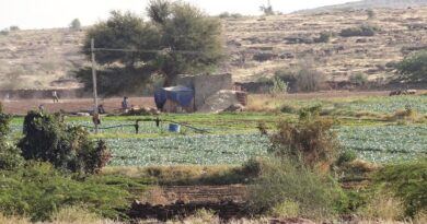 Strengthening Groundwater Management for India’s Water Future