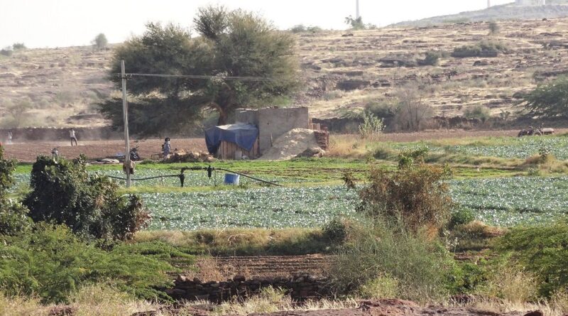 Strengthening Groundwater Management for India’s Water Future