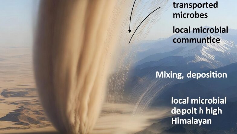 रेगिस्तानी बैक्टीरिया वायु के साथ हिमालय में पहुंचकर स्वास्थ्य को प्रभावित करते हैं