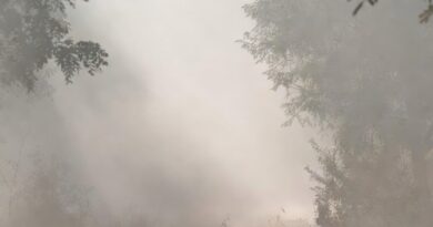 उत्तर भारत में गहराते कोहरे का कारण: प्रदूषण और एरोसोल्स का ‘घातक गठजोड़