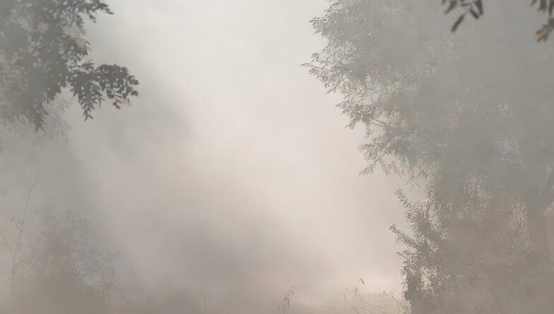 उत्तर भारत में गहराते कोहरे का कारण: प्रदूषण और एरोसोल्स का ‘घातक गठजोड़