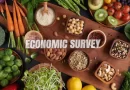 Economic Survey 2025-26