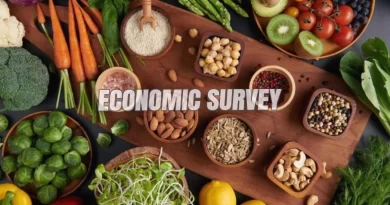 Economic Survey 2025-26