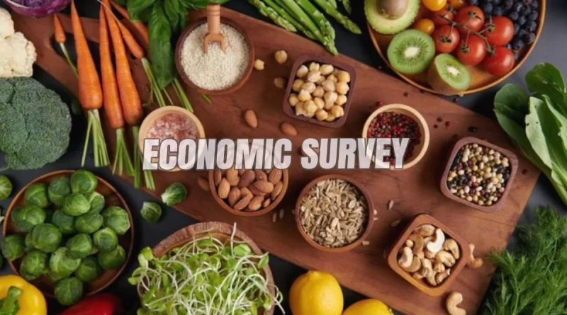 Economic Survey 2025-26