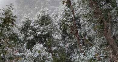 लंबे समय बाद बारिश व बर्फबारी से बढ़ी ठंड, काश्तकारों ने ली राहत की सांस