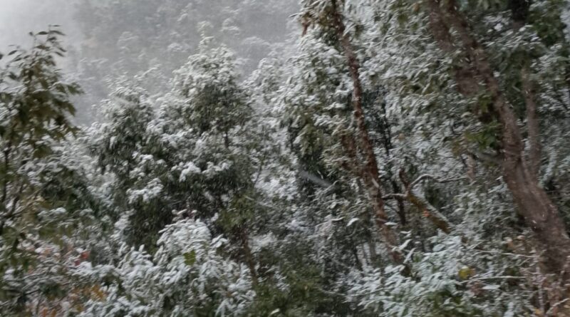 लंबे समय बाद बारिश व बर्फबारी से बढ़ी ठंड, काश्तकारों ने ली राहत की सांस