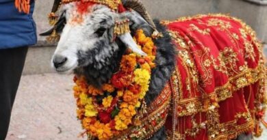 नंदादेवी बड़ी जात की तिथियां घोषित : इसी साल होगा हिमालयी कुम्भ