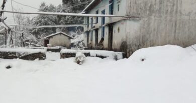 पिंडर घाटी में सीजन की दूसरी बर्फबारी, ऊंचाई वाले गांव बर्फ की चादर में लिपटे