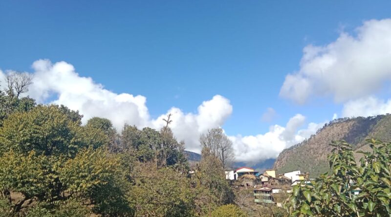 चटक धूप खिलते ही मौसम हुआ सुहावना, लोगों ने ली ठंड से राहत